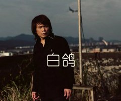 白鸽吉他谱_伍佰_原版弹唱吉他简谱