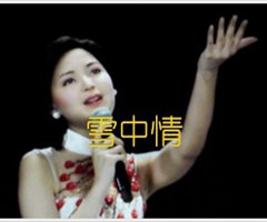 《雪中情吉他谱》_邓丽君_吉他图片谱2张