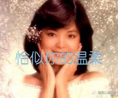恰似你的温柔吉他谱_邓丽君_G调_原版弹唱吉他简谱