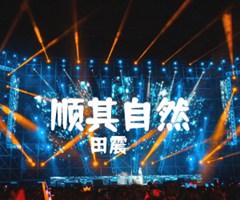 顺其自然吉他谱_田震_C调_原版指弹吉他简谱