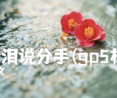 《流着泪说分手(gp5格式)吉他谱》_小文_吉他图片谱11张