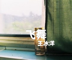 飞舞吉他谱_王冰洋_C调_原版弹唱吉他简谱