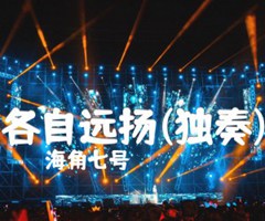 《各自远扬吉他谱》_海角七号_独奏_吉他图片谱5张