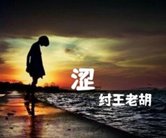 涩吉他谱_纣王老胡_C调_原版指弹吉他简谱