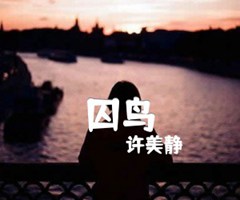 《囚鸟吉他谱》_许美静_G调_吉他图片谱1张