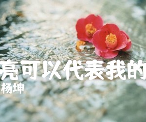 《月亮可以代表我的心吉他谱》_杨坤_G调_吉他图片谱5张