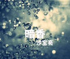 暗香吉他谱_沙宝亮_和弦谱_C调_原版指弹吉他简谱