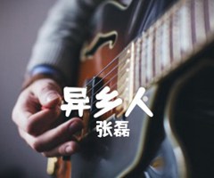 《异乡人吉他谱》_张磊_中级难度_C调_吉他图片谱2张