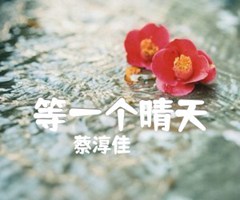 等一个晴天吉他谱_蔡淳佳_男生版_C调_原版弹唱吉他简谱