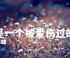 《我是一个被爱伤过的人吉他谱》_林峰_简单版_F调_吉他图片谱2张