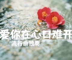 《爱你在心口难开吉他谱》_流行曲独奏_独奏_吉他图片谱4张