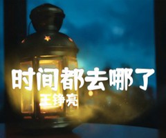 《时间都去哪了吉他谱》_王铮亮_F调_吉他图片谱3张