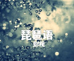 《琵琶语吉他谱》_影视_吉他图片谱1张