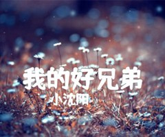 《我的好兄弟吉他谱》_小沈阳_男声版_F调_吉他图片谱4张