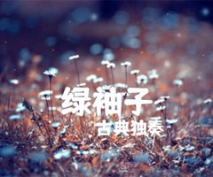 《绿袖子吉他谱》_古典独奏_经典练习曲_D调_吉他图片谱1张