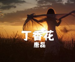 丁香花吉他谱_唐磊_民谣弹唱版_G调_原版弹唱吉他简谱