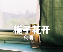 《栀子花开吉他谱》_何灵_扫弦版_C调_吉他图片谱3张