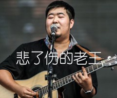 悲了伤的老王吉他谱_宋冬野_扫弦版_E调_原版弹唱吉他简谱