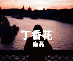 《丁香花吉他谱》_唐磊_原版编配_G调_吉他图片谱3张