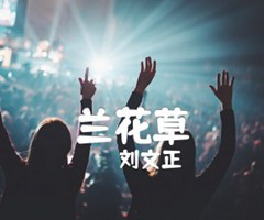 兰花草吉他谱_刘文正_少儿吉他谱_G调_原版弹唱吉他简谱