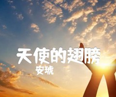 天使的翅膀吉他谱_安琥_男声弹唱版_G调_原版指弹吉他简谱