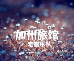 《加州旅馆吉他谱》_老鹰乐队_郑成河指弹_吉他图片谱8张