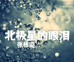 《北极星的眼泪吉他谱》_张栋梁_指弹_吉他图片谱3张