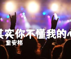 《其实你不懂我的心吉他谱》_童安格_独奏_吉他图片谱3张