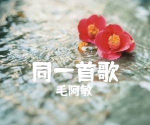 同一首歌吉他谱_毛阿敏_吉他独奏曲_原版弹唱吉他简谱