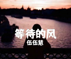 《等待的风吉他谱》_伍伍慧_指弹_吉他图片谱5张