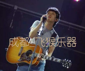 成都吉他谱_赵雷_飞猴乐器_D调_原版弹唱吉他简谱