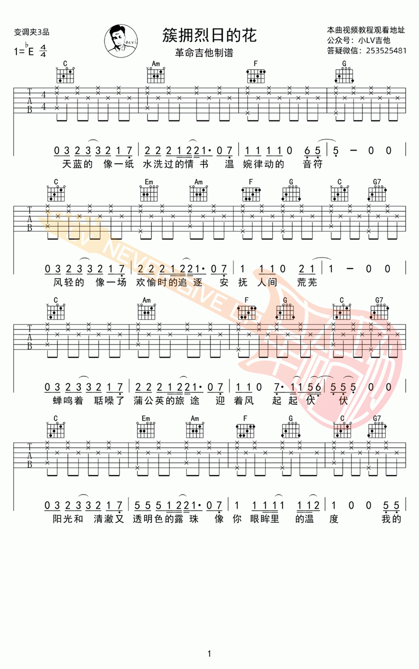 簇拥烈日的花（C调指法编配 迟里乌布/Morerare演唱）