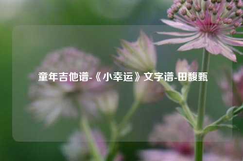  童年吉他谱-《小幸运》文字谱-田馥甄