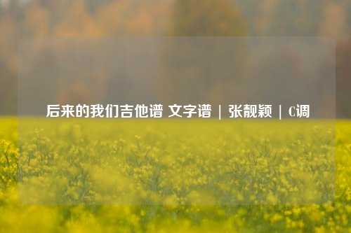  后来的我们吉他谱 文字谱 | 张靓颖 | C调