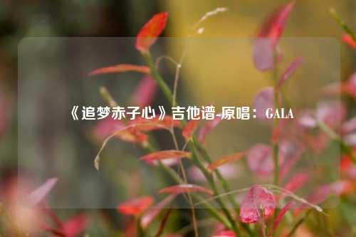  《追梦赤子心》吉他谱-原唱：GALA