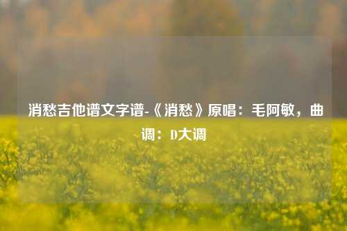  消愁吉他谱文字谱-《消愁》原唱：毛阿敏，曲调：D大调