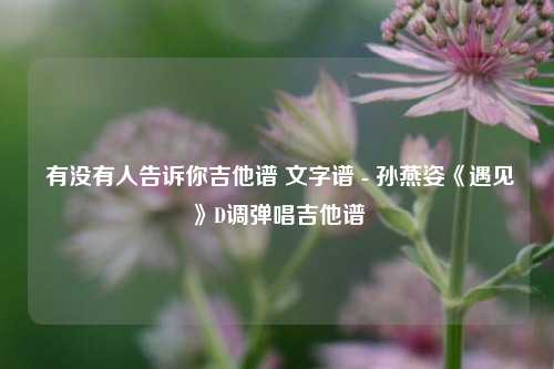  有没有人告诉你吉他谱 文字谱 - 孙燕姿《遇见》D调弹唱吉他谱