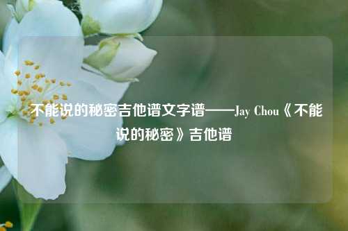  不能说的秘密吉他谱文字谱——Jay Chou《不能说的秘密》吉他谱