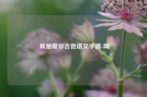  就是爱你吉他谱文字谱-陶喆