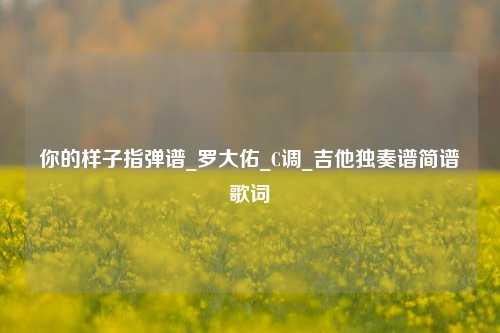 你的样子指弹谱_罗大佑_C调_吉他独奏谱简谱歌词