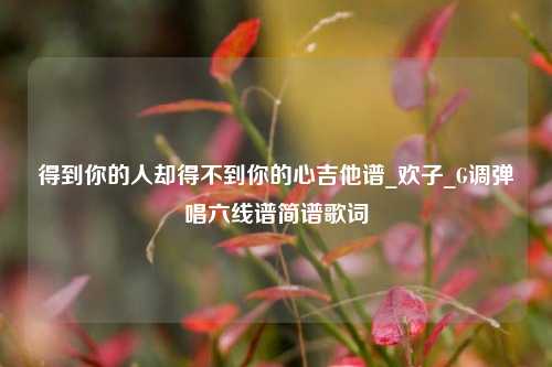 得到你的人却得不到你的心吉他谱_欢子_G调弹唱六线谱简谱歌词