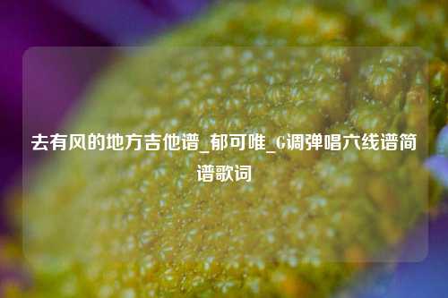 去有风的地方吉他谱_郁可唯_G调弹唱六线谱简谱歌词